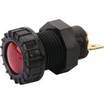 controlelampje_r_4faa73fc5fd0f.jpg