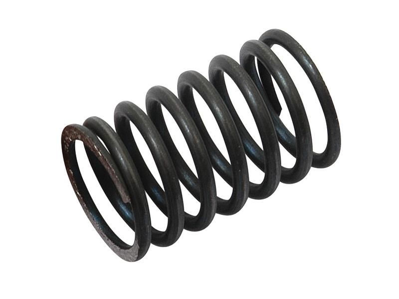 Valve Spring inner