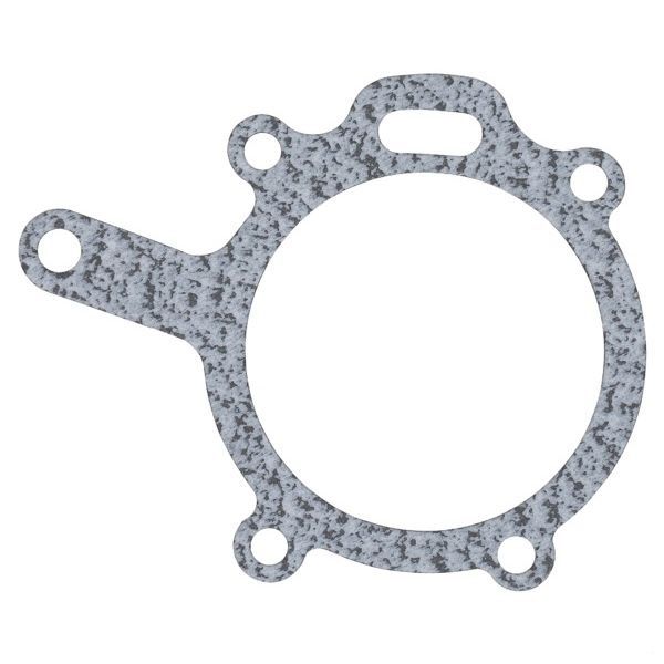 Water Pump Gasket