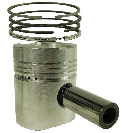 Piston and rings