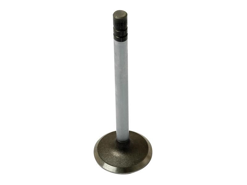 Inlet Valve