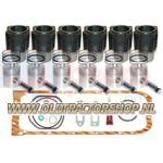 Engine Overhaul Kit