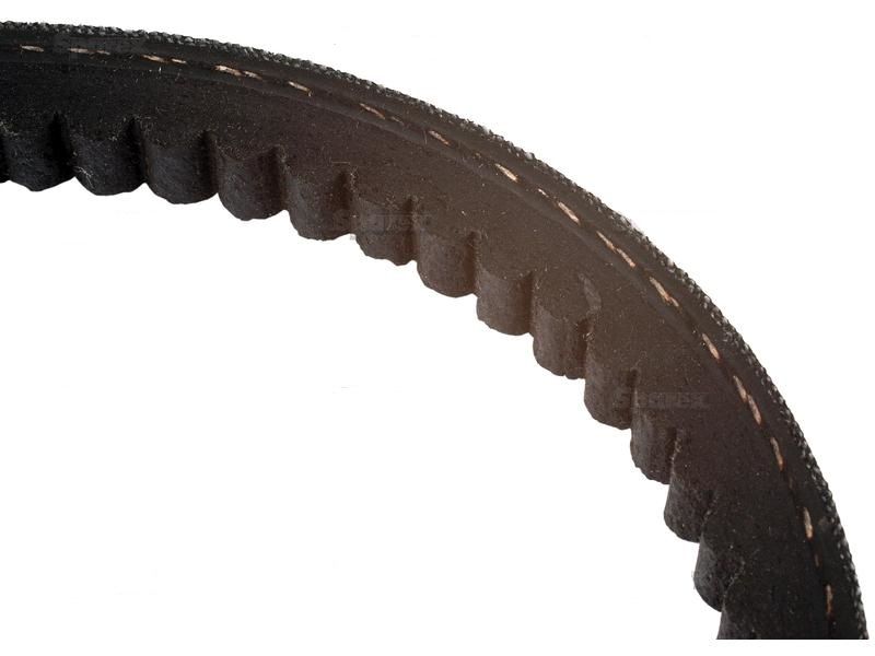 Raw Edge Moulded Cogged Belt AVX13x1425