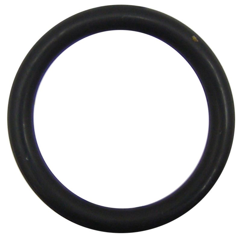Sealing Ring