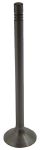 Inlet Valve