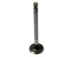 Exhaust Valve