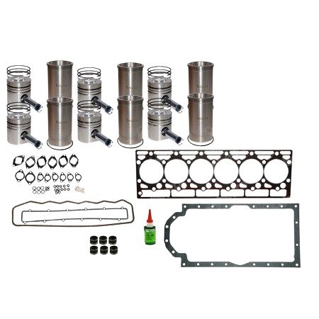 Engine Overhaul Kit D310