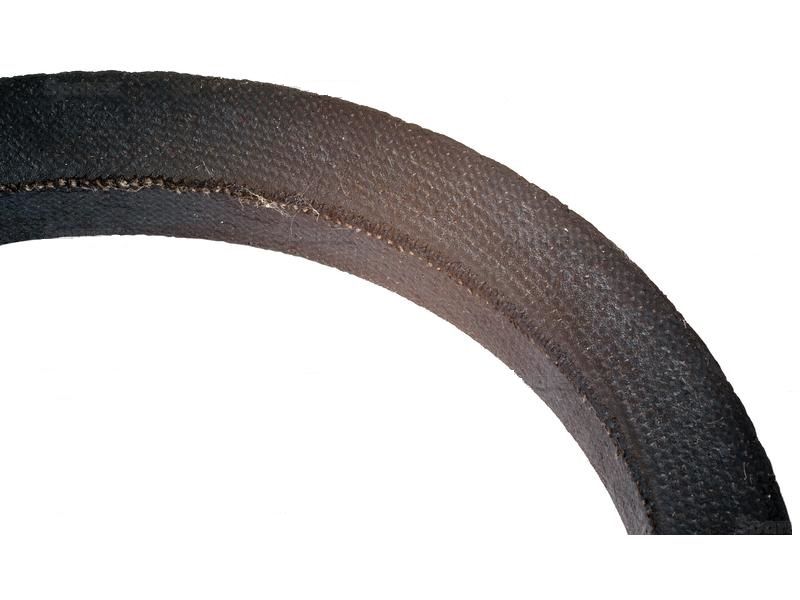 Fan Belt