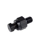 Bleed Screw CAV
