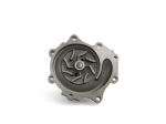 Water Pump Assembly