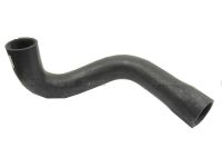 Bottom Hose