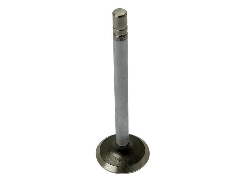 Exhaust Valve