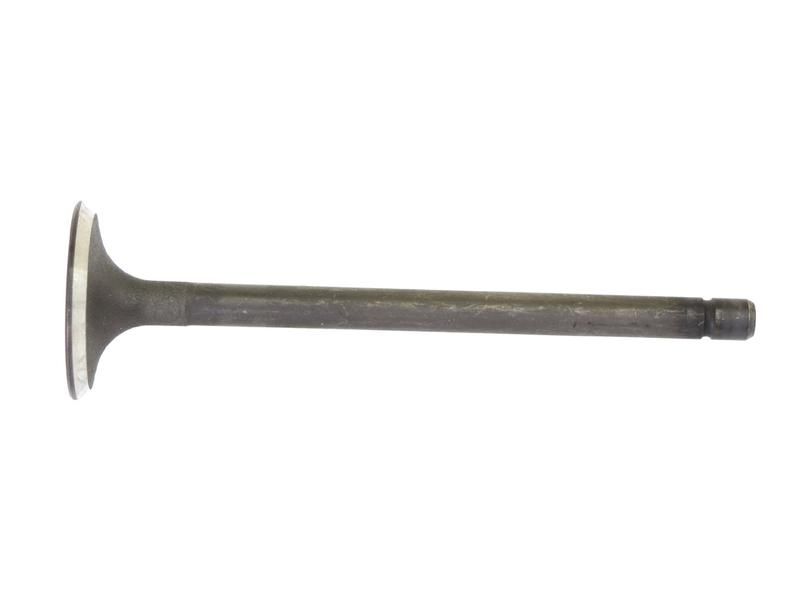 Exhaust Valve