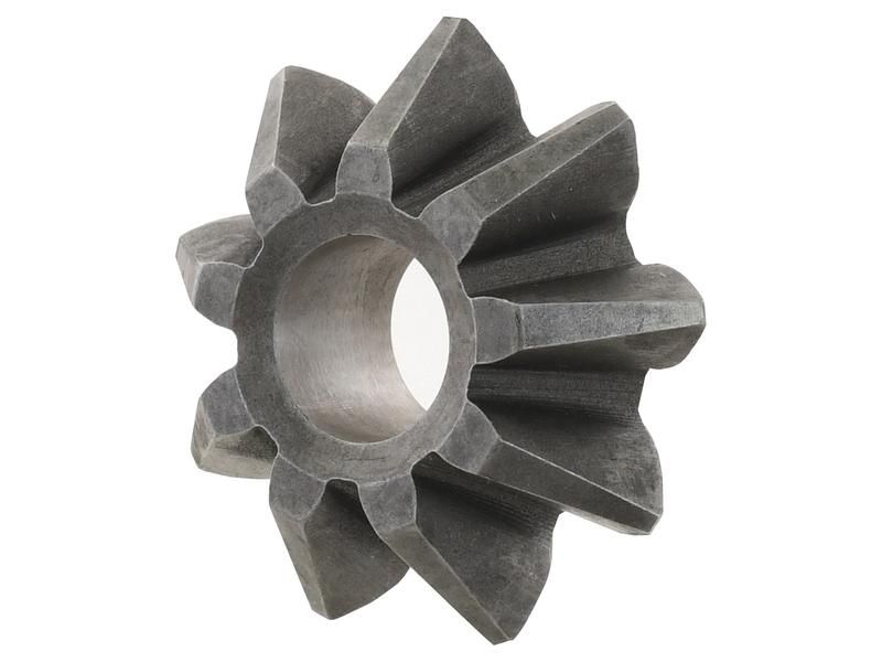 Pinion Gear - Differential