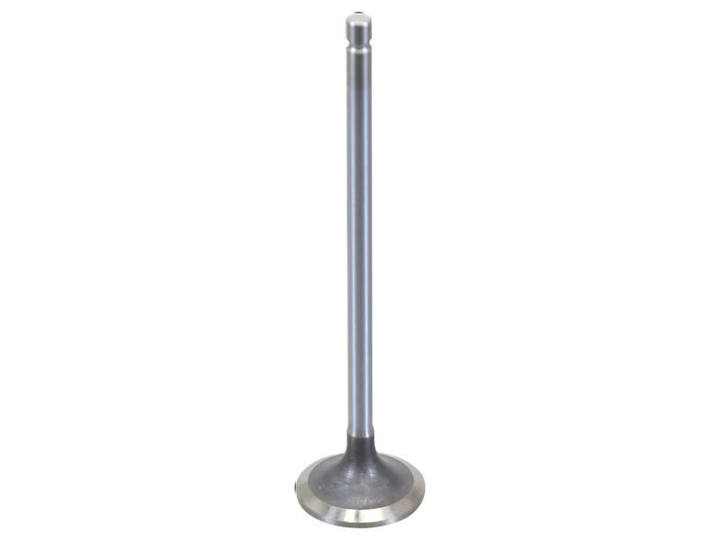 Uitlaatklep R534237