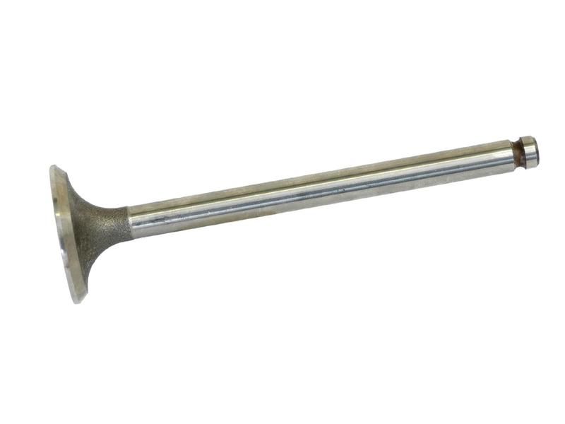 Exhaust Valve