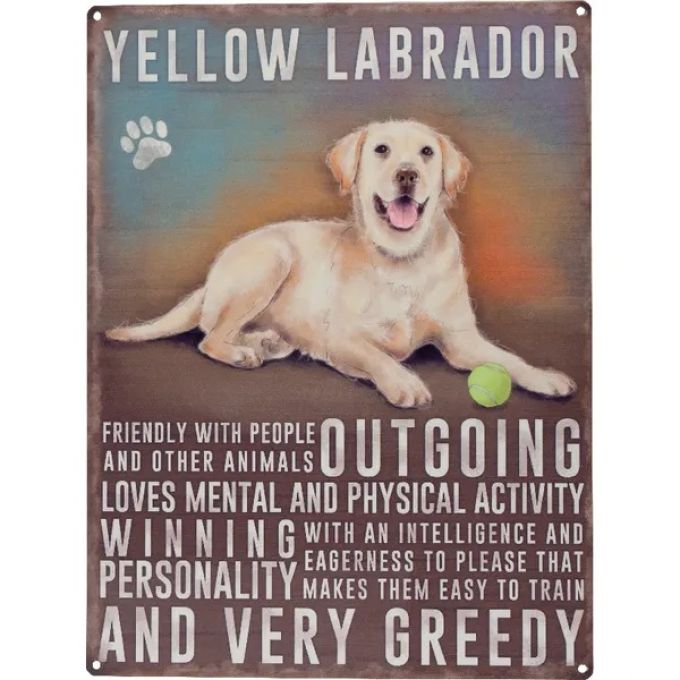Bord Yellow Labrador