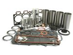 40397 Motor Revisieset 1447049M91