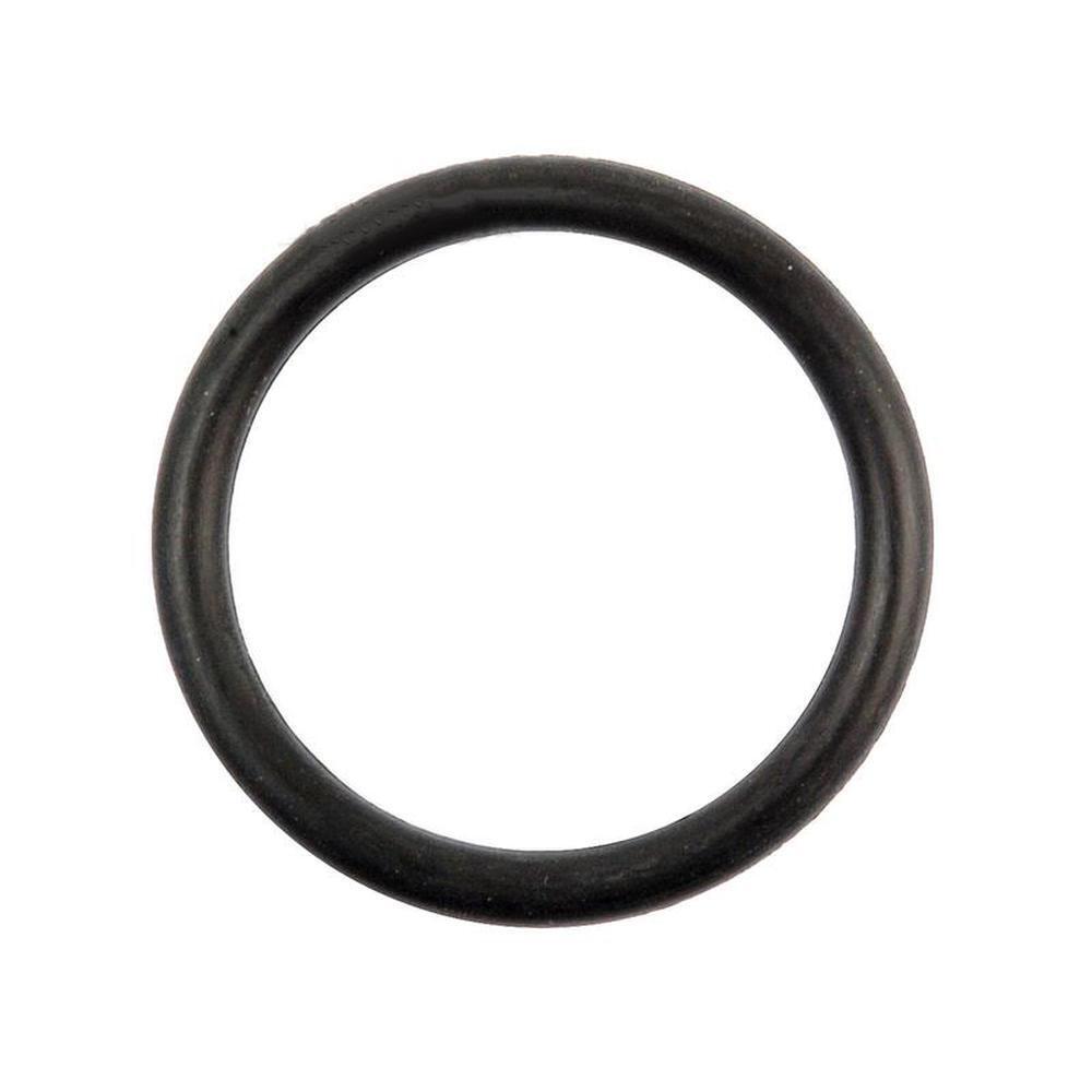O-ring (1/16"x5/16") per stuk