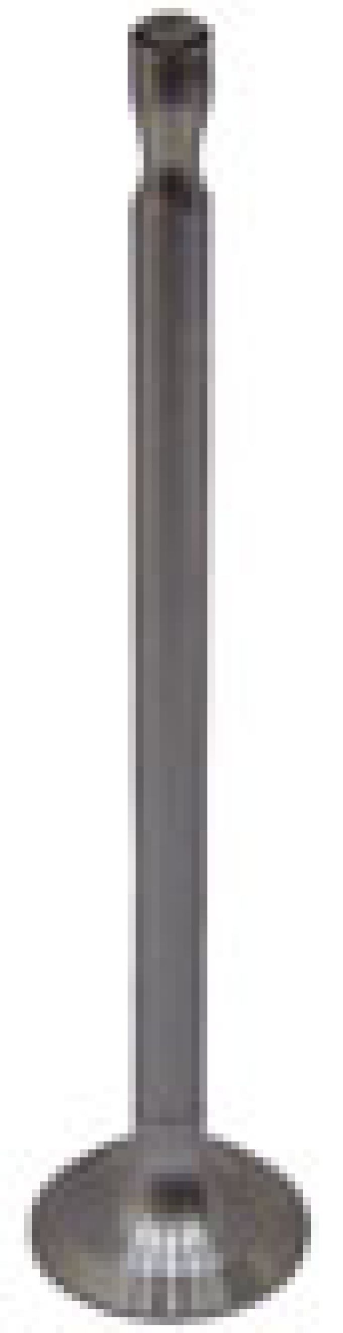 Uitlaatklep