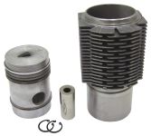 Piston avec segments