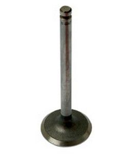 Exhaust Valve