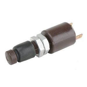 Brake Switch
