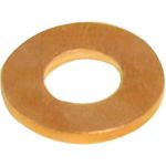 Injectorring (10x21.1x2.00mm)