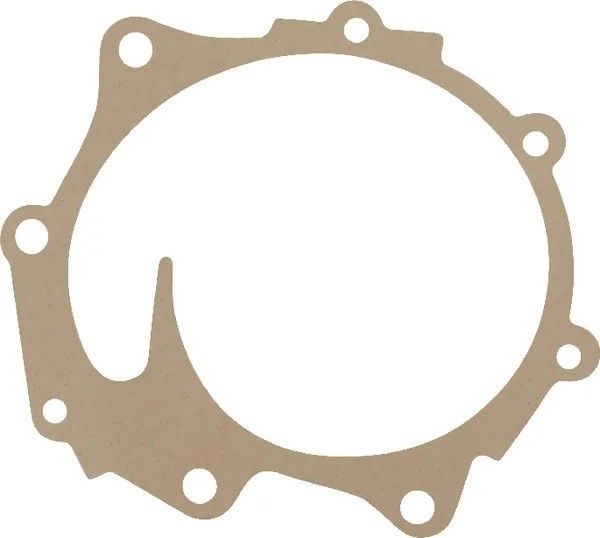 Water Pump Gasket