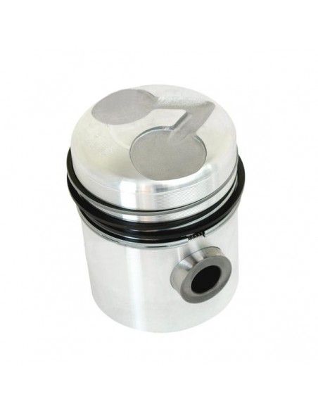 Piston with rings