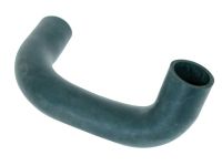 Bottom Hose