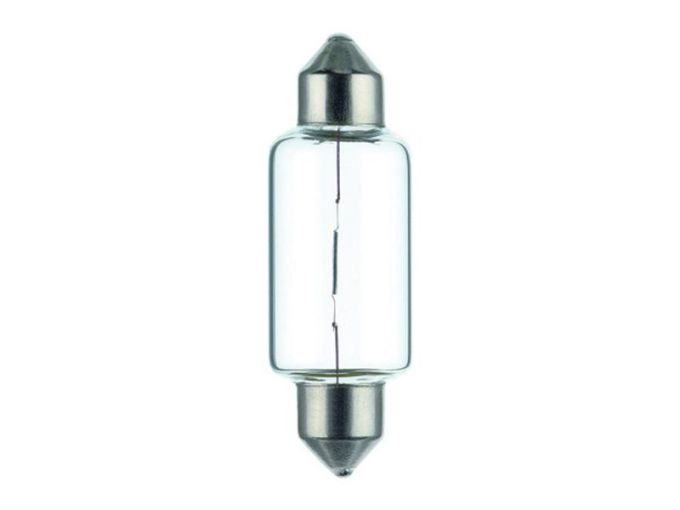 Gloeilamp (Halogeen) C21W, 12V, 21W, SV8.5-8