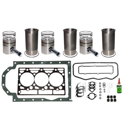 Engine Overhaul Kit  D179 MC-Cormick / Case IH / International