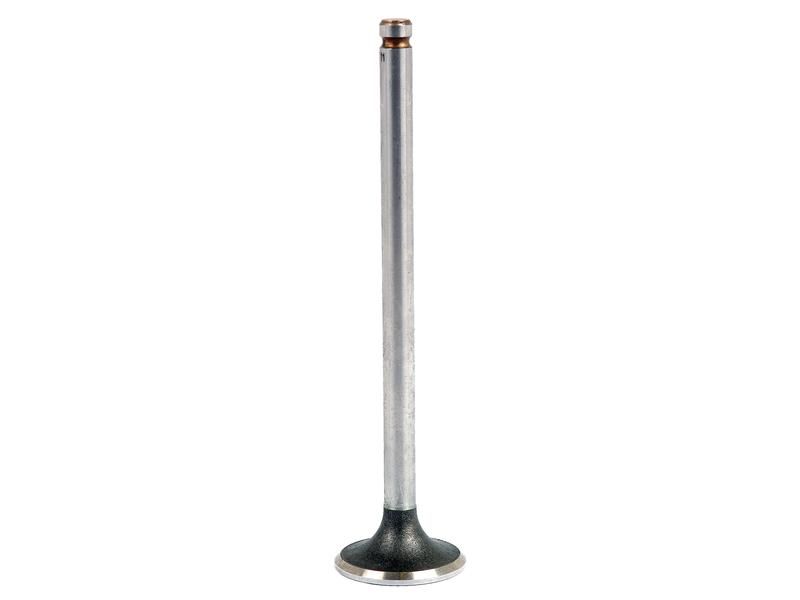 Exhaust Valve