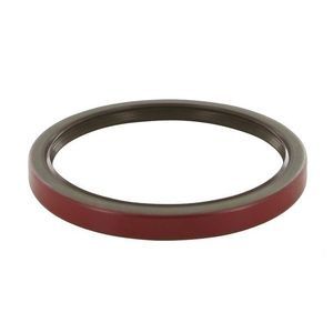 Rear Crankshaft Seal