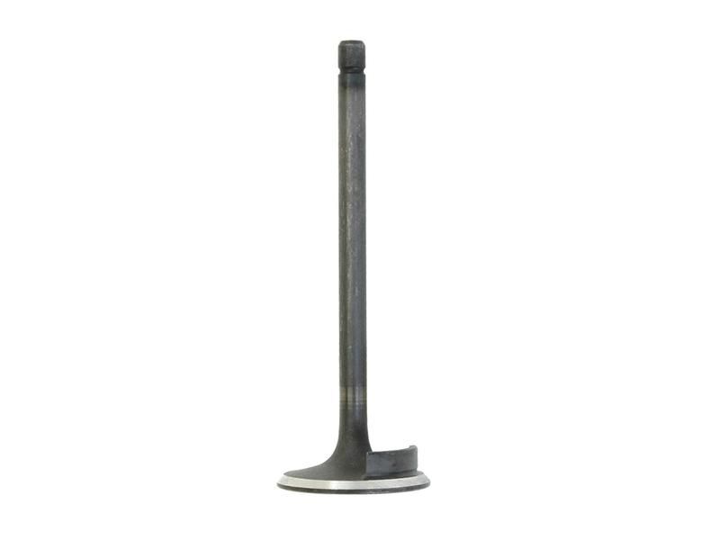 Inlet Valve