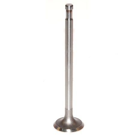 Exhaust Valve