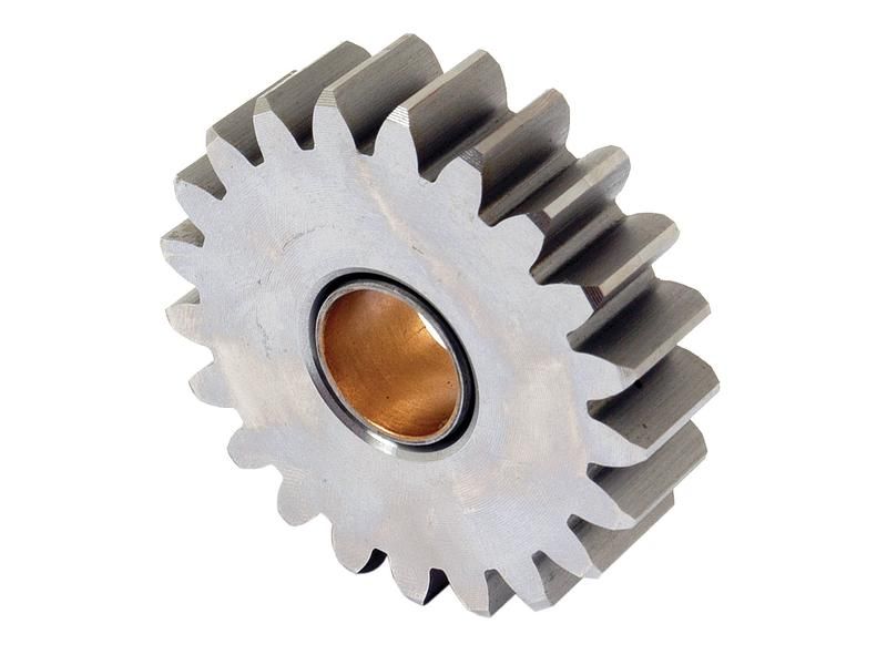 Oil Pump Gear