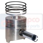 Piston with rings