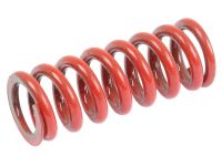 Clutch Spring - Red