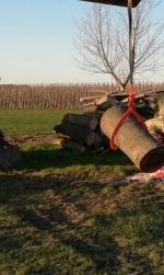 Tree trunk grab dead 700mm