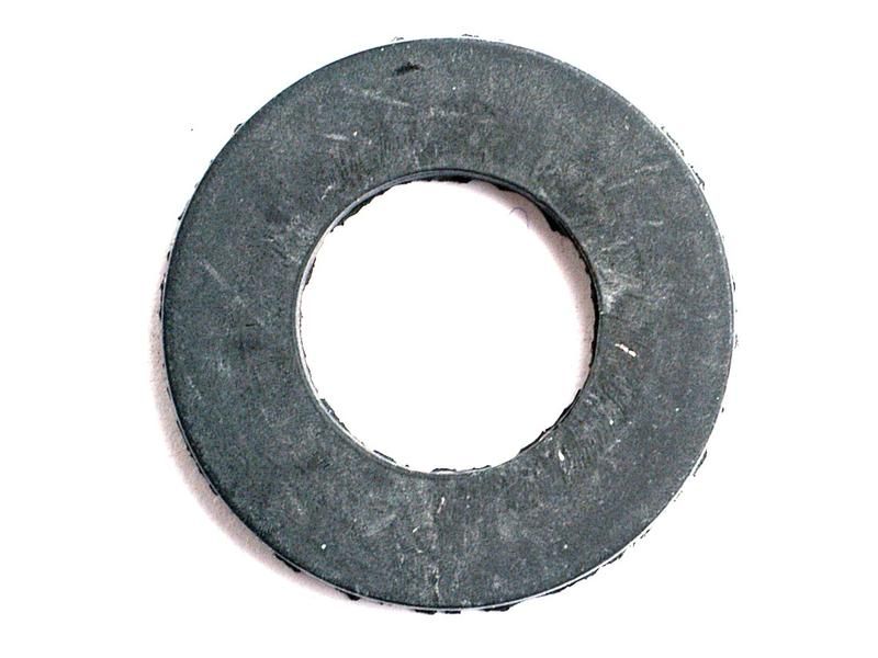 Seal - Rear Of Reservoir