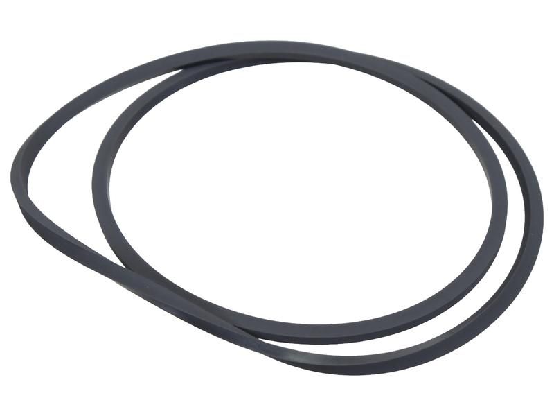 O-ring remmen R309479