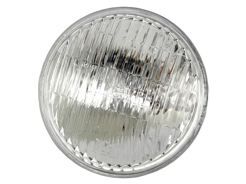 Head Light sealed beam