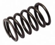 Valve Spring inner