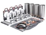 41911 Motor Revisieset Zonder Lagers 1447049M1