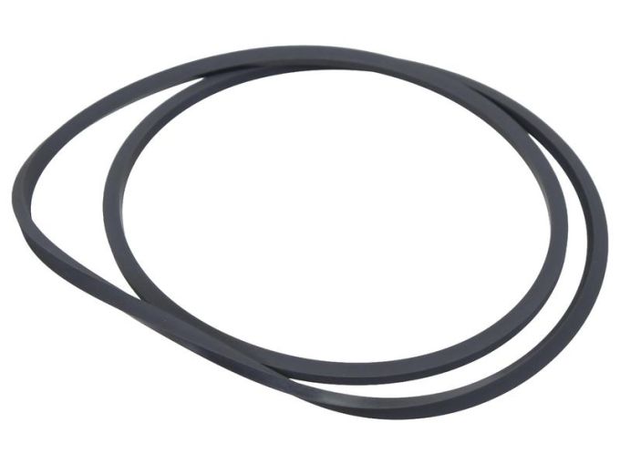 O-ring remmen R309479