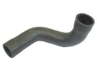 Bottom Hose