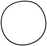 O-Ring