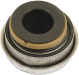 Water Pump Seal